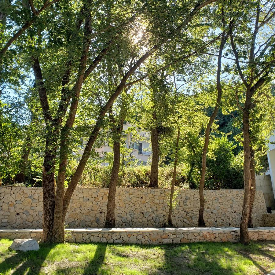 Green Hill Apartments Ulcinj Exterior photo
